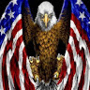 Meet your Posher, Gavin